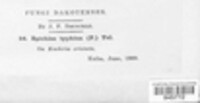 Image Associated With the Occurence